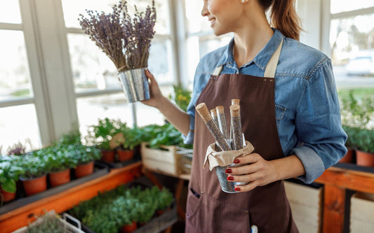 Los Beneficios de la Herbodietética en Canarias