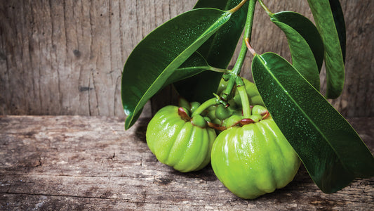 La Garcinia y sus poderes asombrosos: Un tesoro de la naturaleza