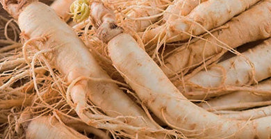 Ginseng en Canarias: El tesoro milenario que rejuvenece y revitaliza