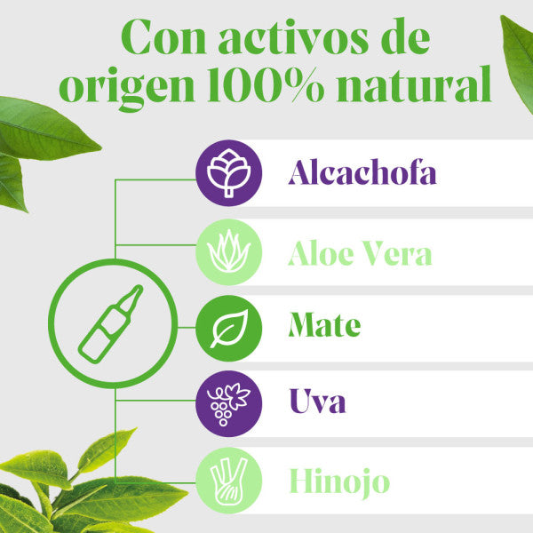 Arkofluido Alcachofa Forte + Aloe Vera 15ml - 20 ampollas