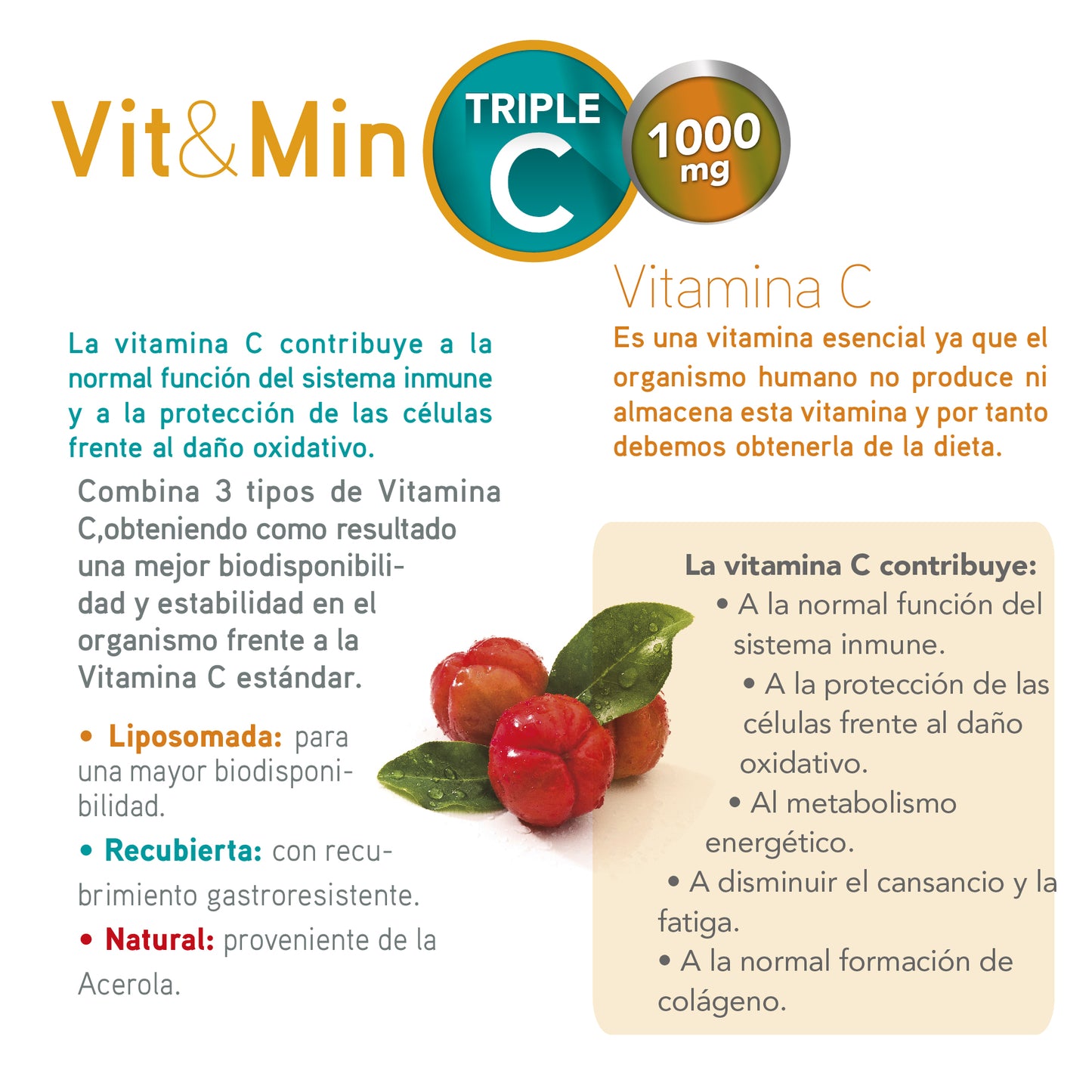 VITAMINA TRIPLE C 1000 LIPOSAMADA - 40 CAPSULAS