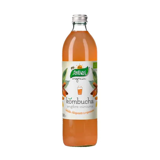 KOMBUCHA CURCUMA+JENGIBRE BIO