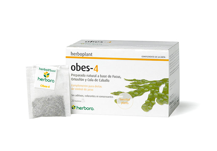 OBES-4