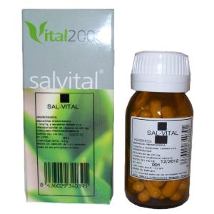 SALVITAL Nº 2 “CS” Calcarea sulphurica